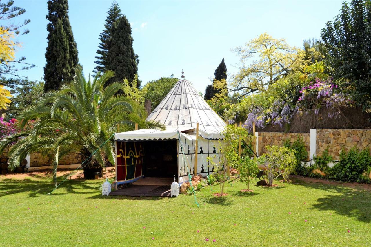 El Mirador *